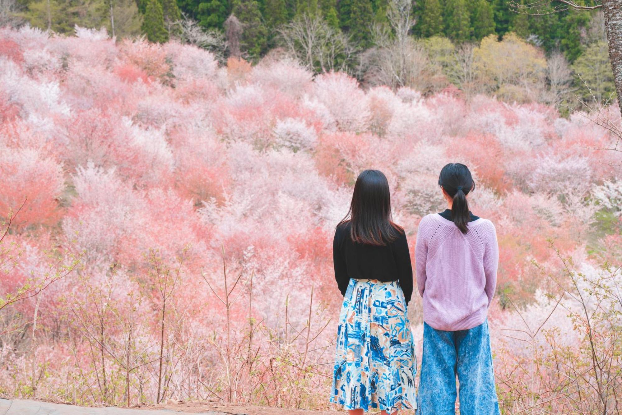 Urabandai Lake Resort Geihinkan Nekoma Rikyu Kitasiobara Kültér fotó