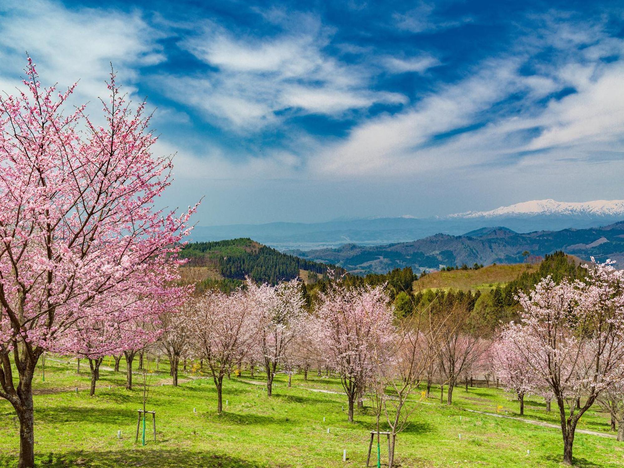 Urabandai Lake Resort Geihinkan Nekoma Rikyu Kitasiobara Kültér fotó