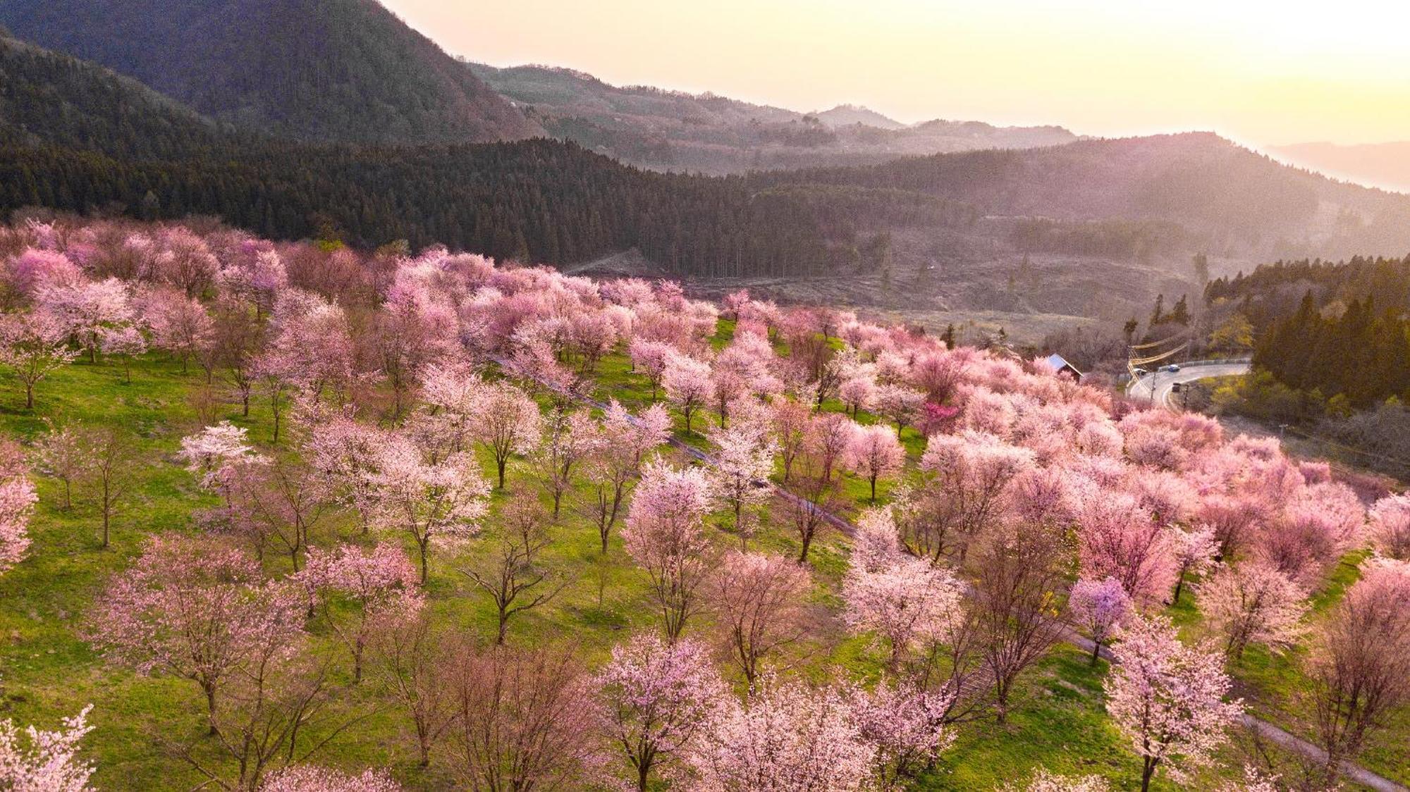 Urabandai Lake Resort Geihinkan Nekoma Rikyu Kitasiobara Kültér fotó